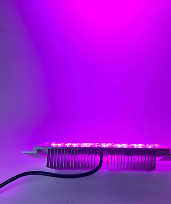 Buy 40W 50W IP66 Waterproof RGB rgbw DMX LED Flood Light Module Easily Installation online manufacture