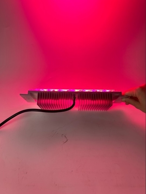 Buy LED Grow Light Module 30W 50W RGB Colorful Outdoor Garden Spot Lights online manufacture